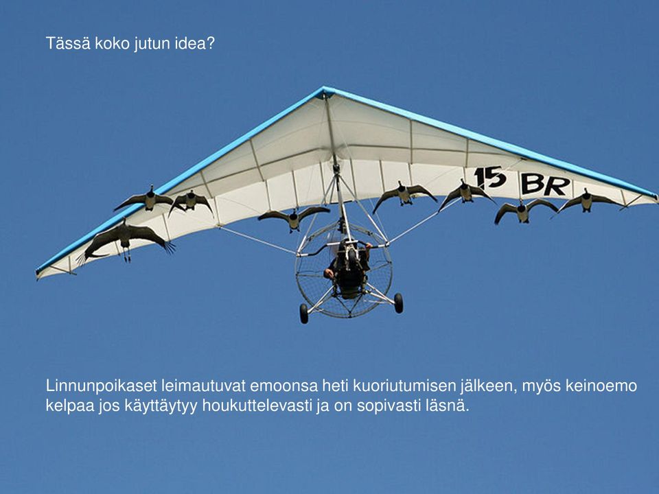 kuoriutumisen jälkeen, myös keinoemo