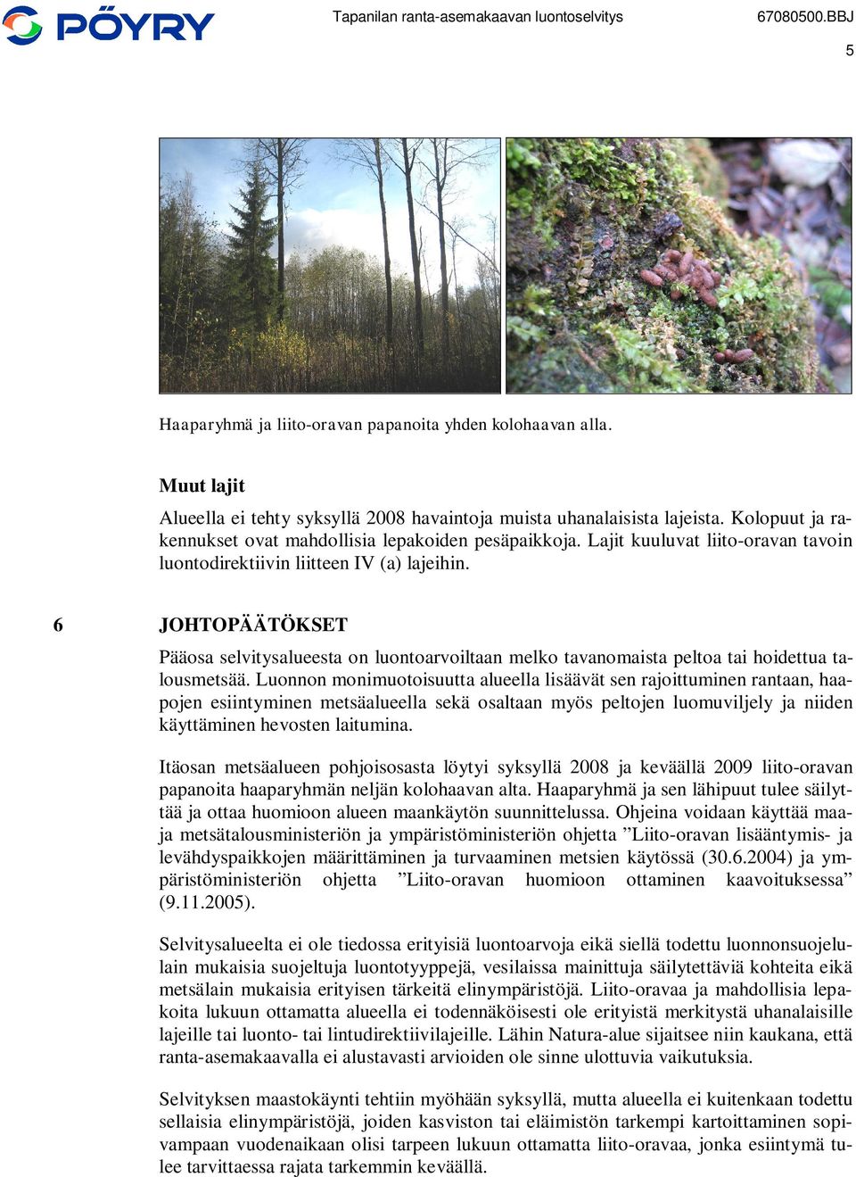 6 JOHTOPÄÄTÖKSET Pääosa selvitysalueesta on luontoarvoiltaan melko tavanomaista peltoa tai hoidettua talousmetsää.