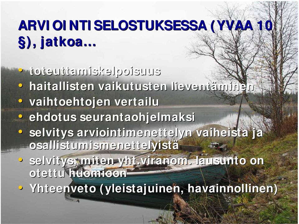 selvitys arviointimenettelyn vaiheista ja osallistumismenettelyistä selvitys,