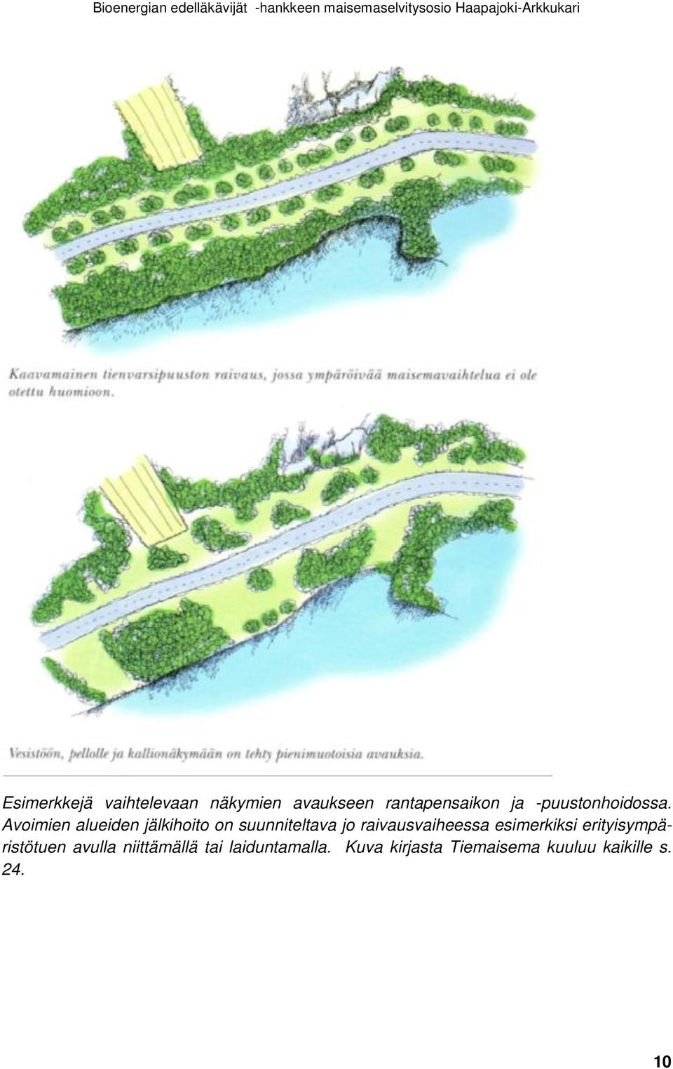 Avoimien alueiden jälkihoito on suunniteltava jo raivausvaiheessa