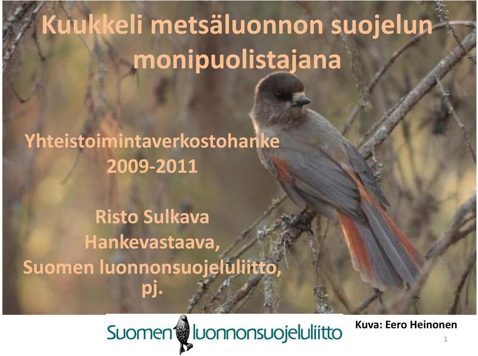 i i h k 2009 2011 Risto Sulkava