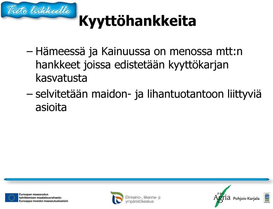 kyyttökarjan kasvatusta selvitetään