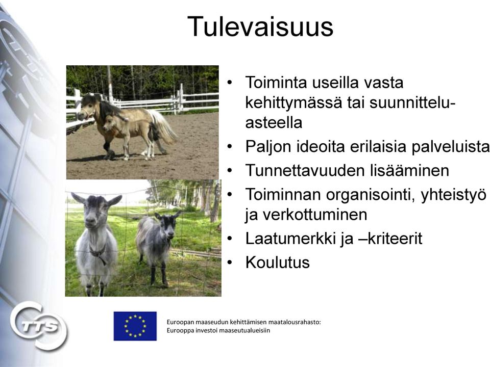 palveluista Tunnettavuuden lisääminen Toiminnan