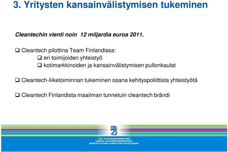 Cleantech pilottina Team Finlandissa: eri toimijoiden yhteistyö kotimarkkinoiden ja