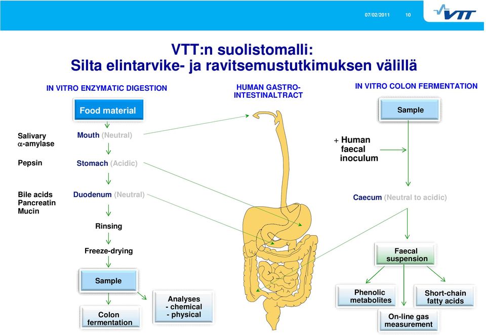 faecal inoculum Bile acids Pancreatin Mucin Duodenum (Neutral) Rinsing Caecum (Neutral to acidic) Freeze-drying Faecal suspension