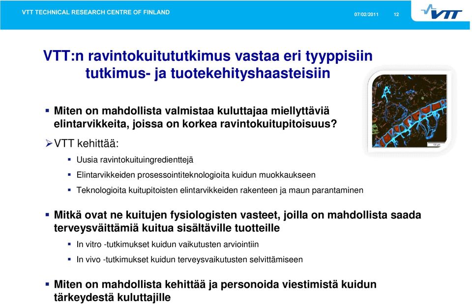 VTT kehittää: Uusia ravintokuituingredienttejä Elintarvikkeiden prosessointiteknologioita kuidun muokkaukseen Teknologioita kuitupitoisten elintarvikkeiden rakenteen ja maun