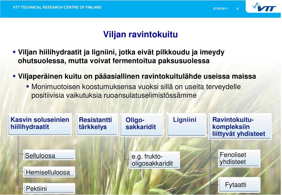 sillä on useita terveydelle positiivisia vaikutuksia ruoansulatuselimistössämme Kasvin soluseinien hiilihydraatit Resistantti tärkkelys