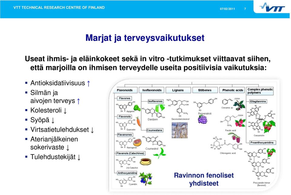 positiivisia vaikutuksia: Antioksidatiivisuus Silmän ja aivojen terveys Kolesteroli