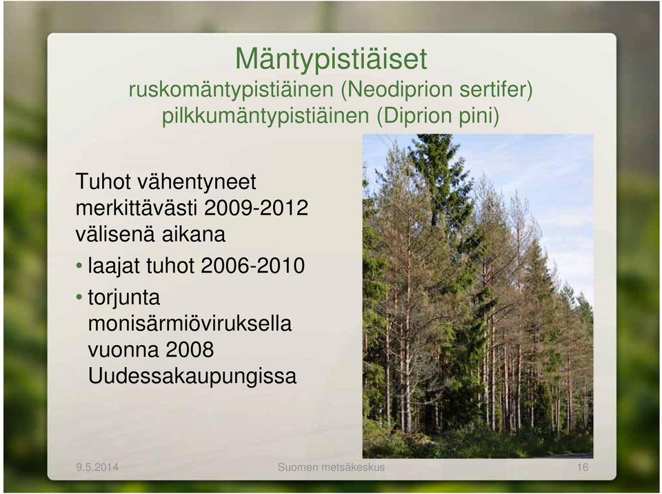 merkittävästi 2009-2012 välisenä aikana laajat tuhot 2006-2010