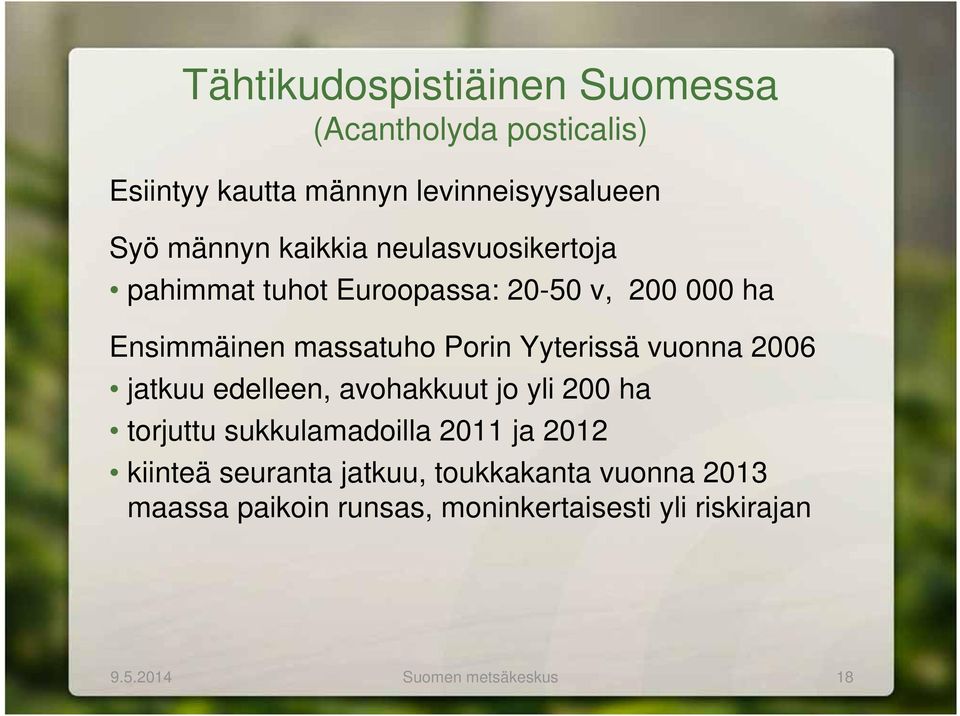 vuonna 2006 jatkuu edelleen, avohakkuut jo yli 200 ha torjuttu sukkulamadoilla 2011 ja 2012 kiinteä seuranta