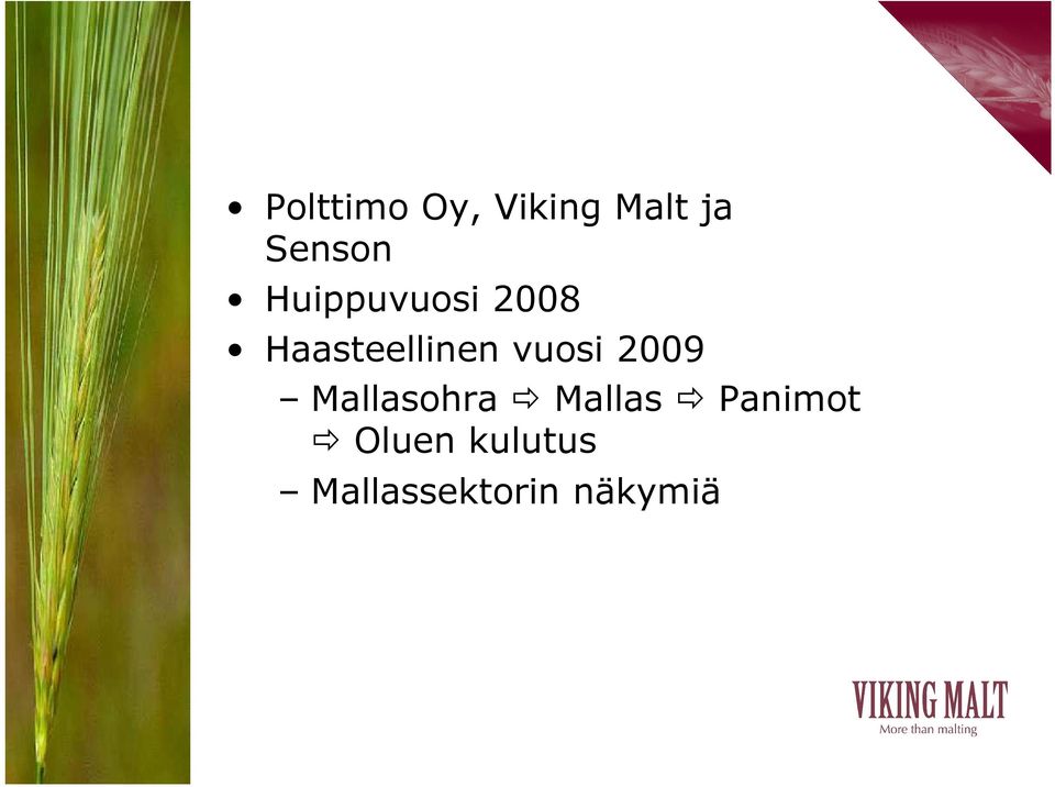 vuosi 2009 Mallasohra Mallas