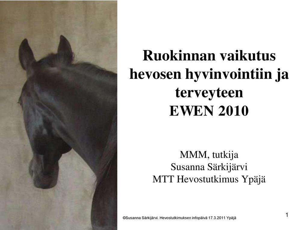 EWEN 2010 MMM, tutkija Susanna