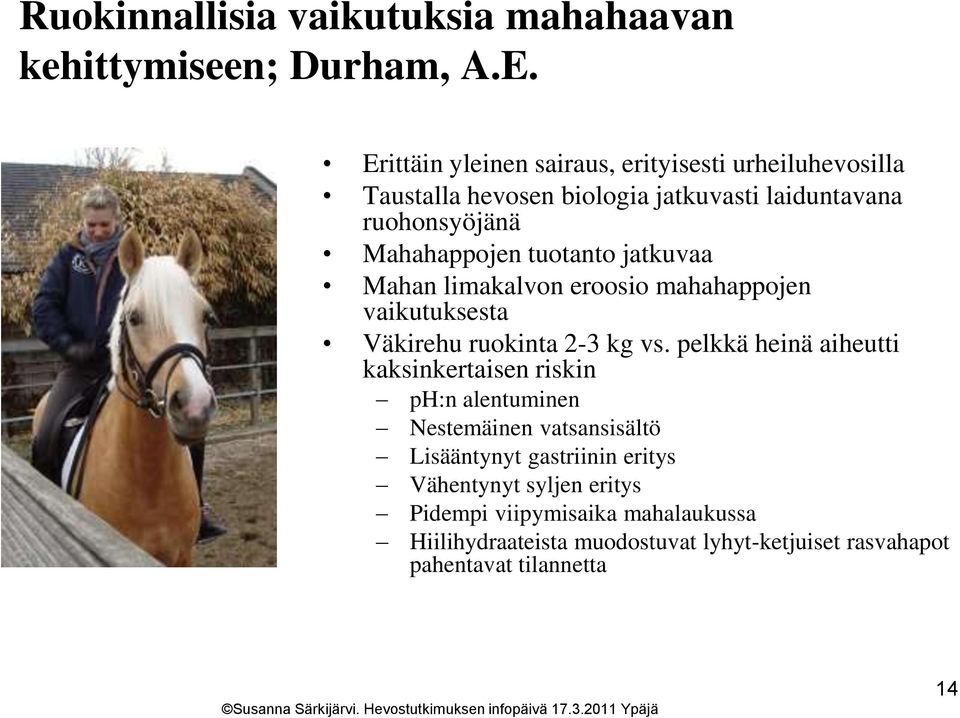 tuotanto jatkuvaa Mahan limakalvon eroosio mahahappojen vaikutuksesta Väkirehu ruokinta 2-3 kg vs.