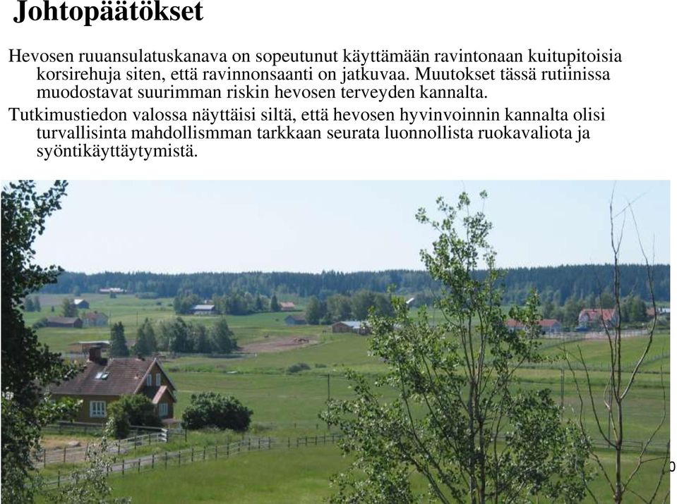 Muutokset tässä rutiinissa muodostavat suurimman riskin hevosen terveyden kannalta.