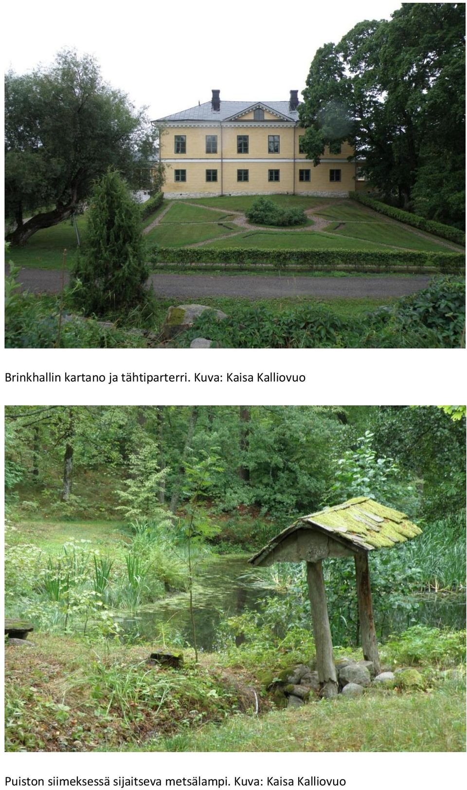 Kuva: Kaisa Kalliovuo Puiston