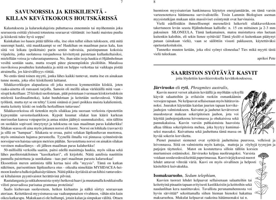 Haukihan on maailman paras kala, kun siitä voi leikata (poikittain) parin sentin vahvuisia, paistinpannun kokoisia viipaleita, jotka suolatussa ruisjauhossa leivitettynä paistetaan kullankeltaisiksi,