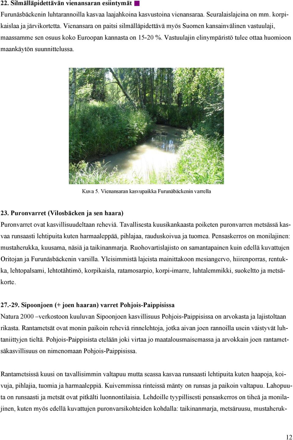 Vastuulajin elinympäristö tulee ottaa huomioon maankäytön suunnittelussa. Kuva 5. Vienansaran kasvupaikka Furunäbäckenin varrella 23.