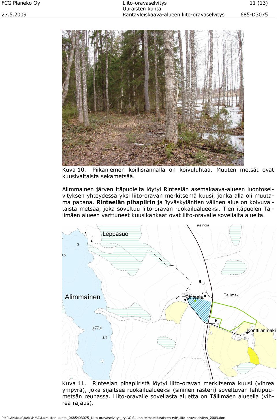 Rinteelän pihapiirin ja Jyväskyläntien välinen alue on koivuvaltaista metsää, joka soveltuu liito-oravan ruokailualueeksi.