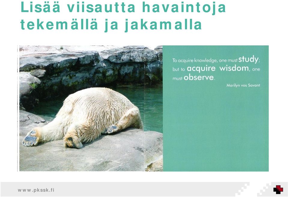 havaintoja
