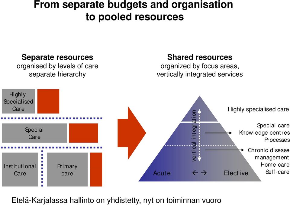 Institutional Care Primary care integration vertical nhighly specialised care Special care Knowledge centres Processes
