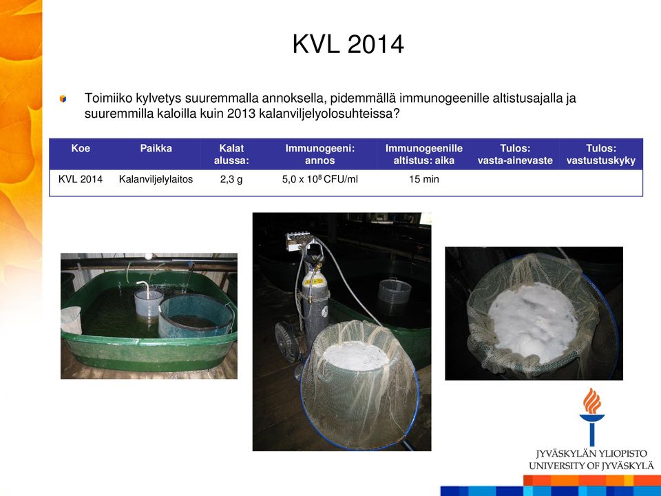 suuremmilla kaloilla kuin 2013