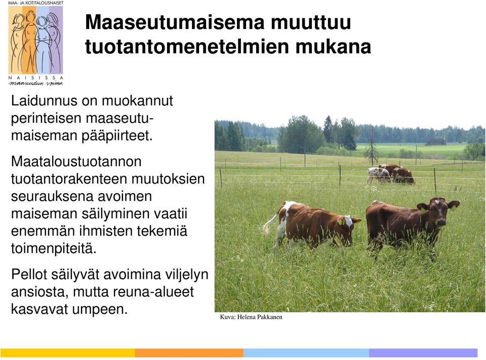 Maataloustuotannon tuotantorakenteen muutoksien seurauksena avoimen maiseman