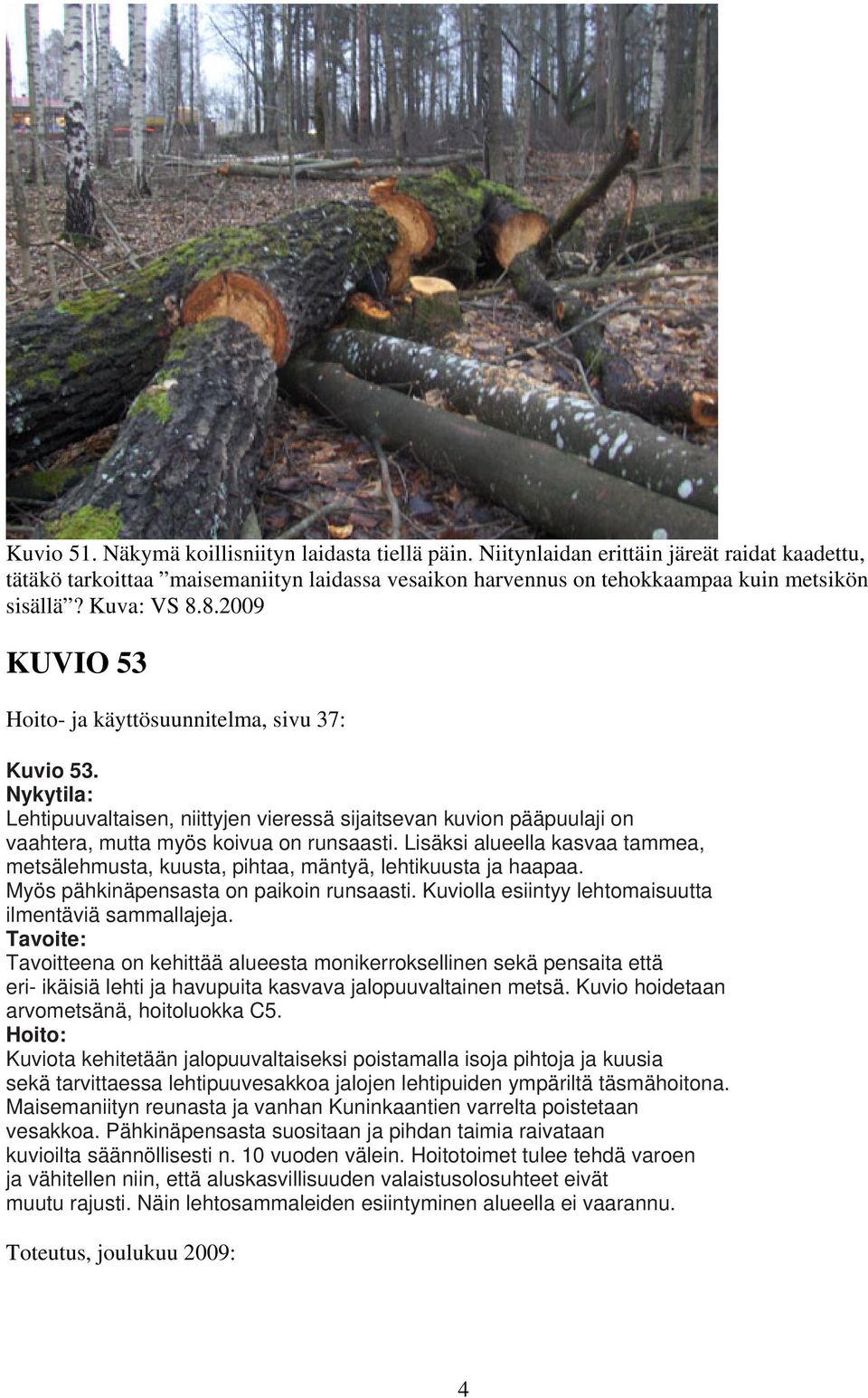 Lisäksi alueella kasvaa tammea, metsälehmusta, kuusta, pihtaa, mäntyä, lehtikuusta ja haapaa. Myös pähkinäpensasta on paikoin runsaasti. Kuviolla esiintyy lehtomaisuutta ilmentäviä sammallajeja.