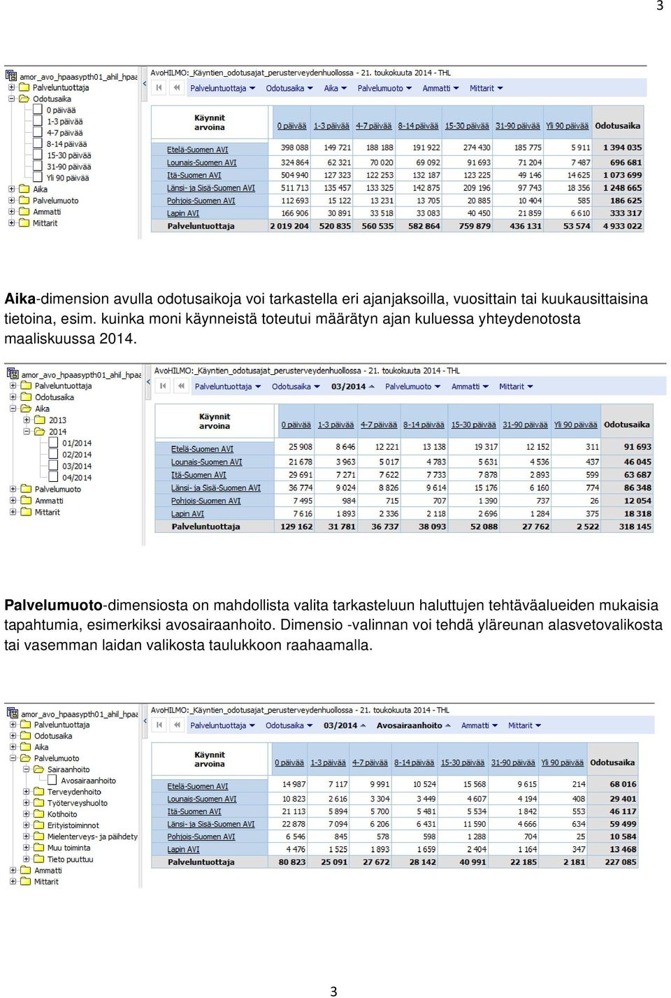 Palvelumut-dimensista n mahdllista valita tarkasteluun haluttujen tehtäväalueiden mukaisia tapahtumia,