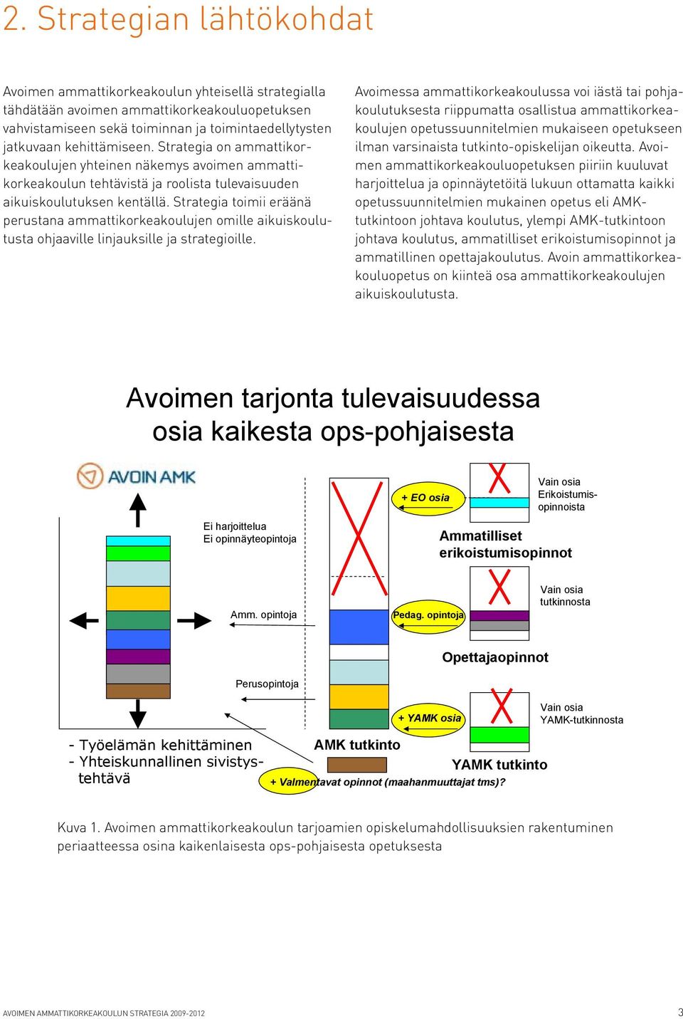 Strategia toimii eräänä perustana ammattikorkeakoulujen omille aikuiskoulutusta ohjaaville linjauksille ja strategioille.