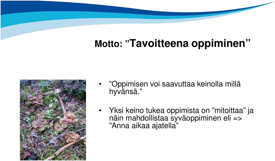 Yksi keino tukea oppimista on mitoittaa ja