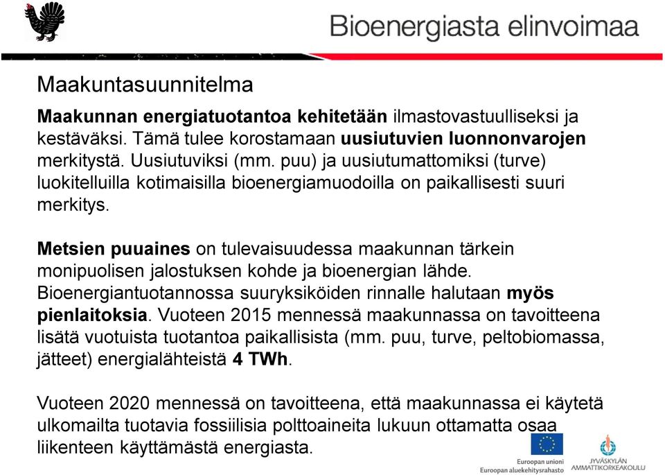 Metsien puuaines on tulevaisuudessa maakunnan tärkein monipuolisen jalostuksen kohde ja bioenergian lähde. Bioenergiantuotannossa suuryksiköiden rinnalle halutaan myös pienlaitoksia.