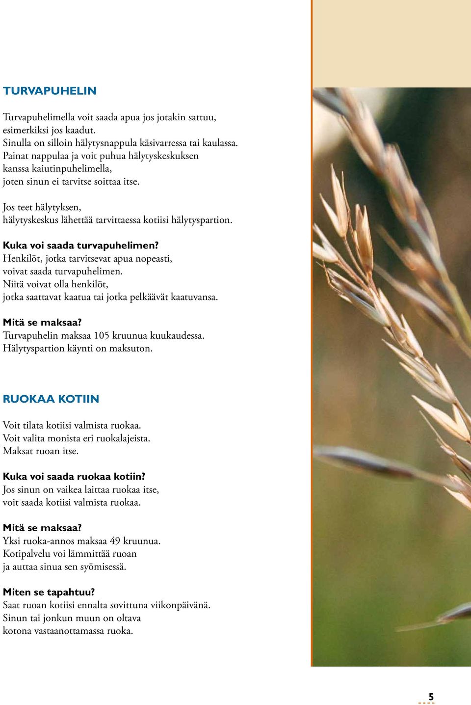 Kuka voi saada turvapuhelimen? Henkilöt, jotka tarvitsevat apua nopeasti, voivat saada turvapuhelimen. Niitä voivat olla henkilöt, jotka saattavat kaatua tai jotka pelkäävät kaatuvansa.