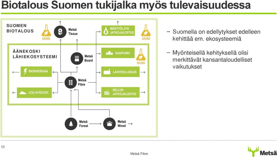 ekosysteemiä ÄÄNEKOSKI LÄHIEKOSYSTEEMI BIOENERGIAA KAUPUNKI LÄHITEOLLISUUS UUSI