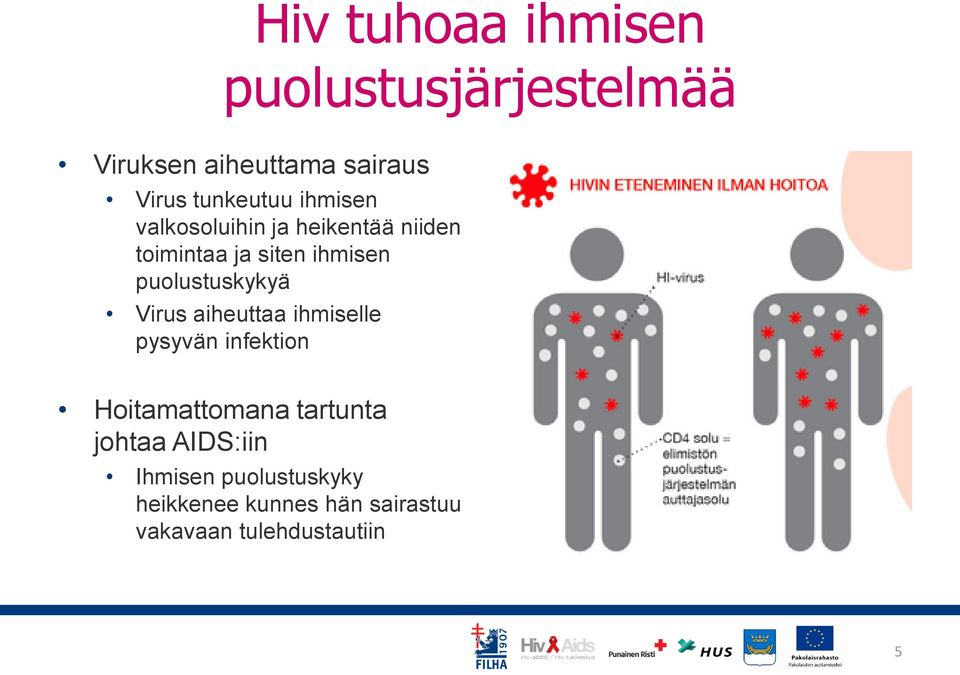 puolustuskykyä Virus aiheuttaa ihmiselle pysyvän infektion Hoitamattomana tartunta