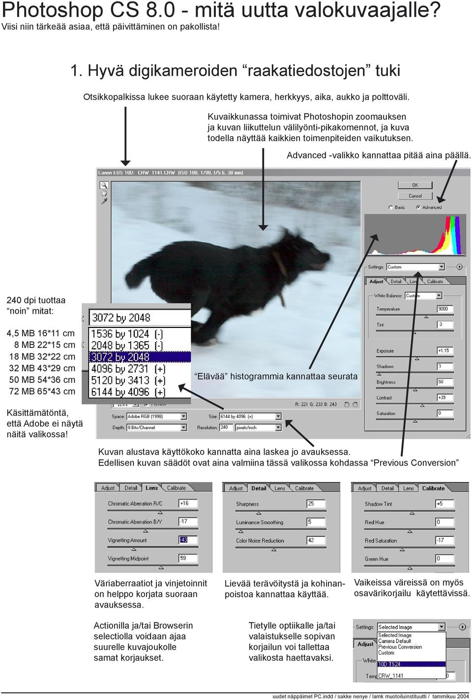 Kuvaikkunassa toimivat Photoshopin zoomauksen ja kuvan liikuttelun välilyönti-pikakomennot, ja kuva todella näyttää kaikkien toimenpiteiden vaikutuksen. Advanced -valikko kannattaa pitää aina päällä.