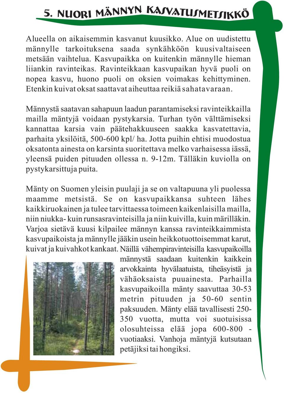 Etenkin kuivat oksat saattavat aiheuttaa reikiä sahatavaraan. Männystä saatavan sahapuun laadun parantamiseksi ravinteikkailla mailla mäntyjä voidaan pystykarsia.