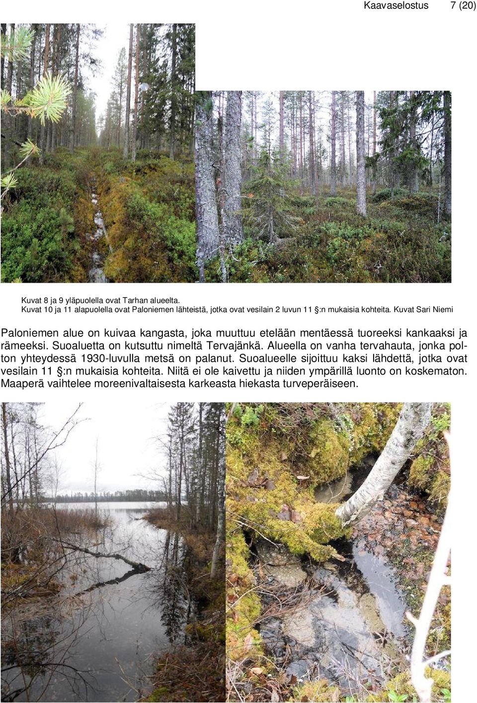 Kuvat Sari Niemi Paloniemen alue on kuivaa kangasta, joka muuttuu etelään mentäessä tuoreeksi kankaaksi ja rämeeksi. Suoaluetta on kutsuttu nimeltä Tervajänkä.