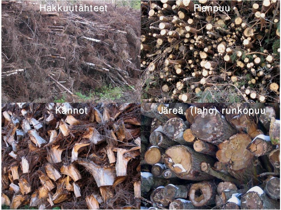 2009 Kalle Kalle Kalle Kärhä Kärhä: / Metsäteollisuuden / Puubiomassan / 22.4.