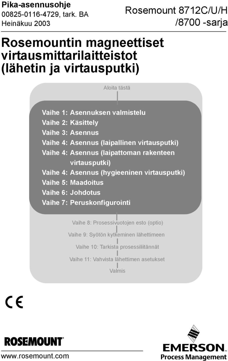 Asennus (hygieeninen virtausputki) Vaihe 5: Maadoitus Vaihe 6: Johdotus Vaihe 7: Peruskonfigurointi Vaihe 8: Prosessivuotojen esto