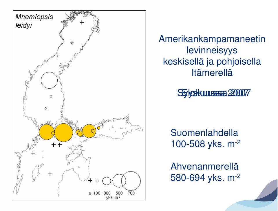 Syyskuussa Elokuussa 2007 Suomenlahdella