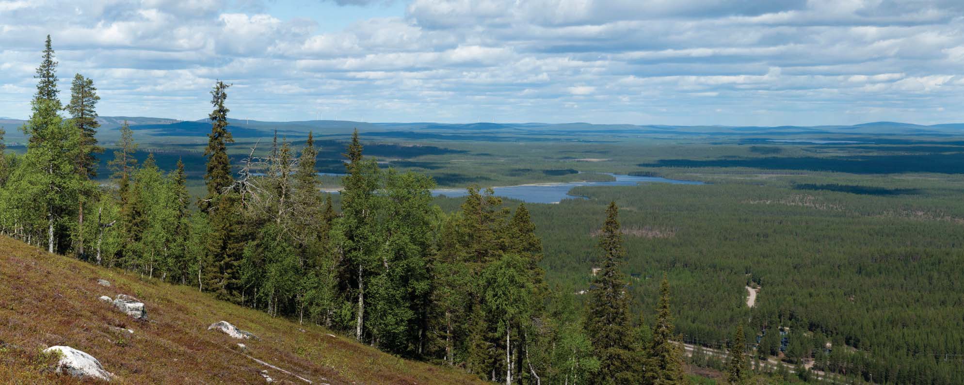 Helmikuu 2012