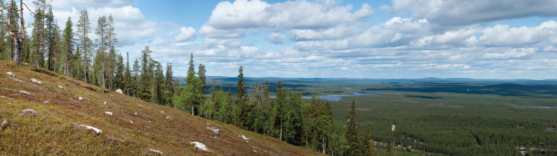 Kuva 20. Peräpohjolan vaaramaisemaa kuva una Suomutunturin rinteeltä (kuva: Ari Toikka). 4 MAISEMAN NYKYTILA 4.