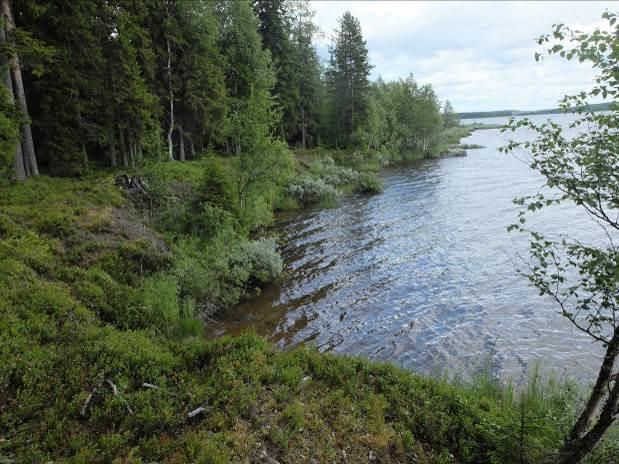 ALA-IRNIN RANTA-ASEMAKAAVA 21 ********************************** Kuva 23 Alueen keskiosassa vaihtelevat rakennuskelpoiset alueet ja luhtarannat Vaikutukset luontoon ja luonnonympäristöön Rakentaminen