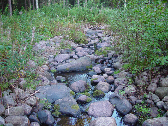 Vantaanjoen latvaosan kalastoselvitys 26 1.