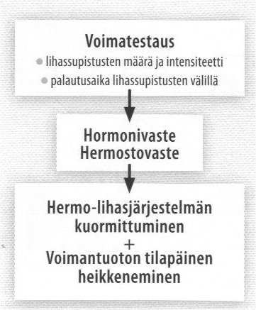 25 KUVA 8. Itse testien vaikutuksia voimatasoihin voimatestauksen aikana (Keskinen ym. 2004 s.131).