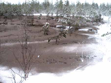 Tuhkalannoituskoe Kannus, Jouhteneenjärvi Käsittelyt 1. Ei lannoitusta 2. Irtotuhka 5 t/ha 3.