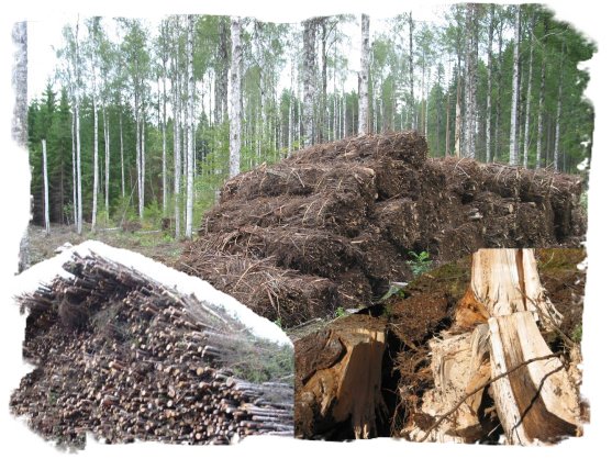 Metsäbiomassan saatavuus energiantuotantoon Timo Karjalainen, Perttu Anttila, Antti