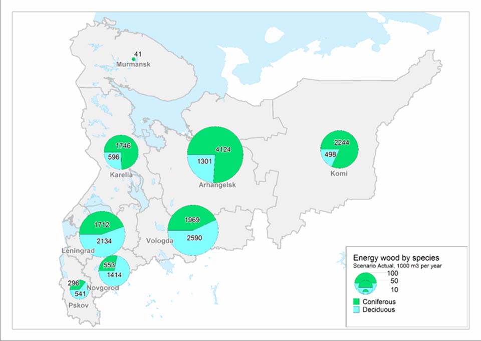 Energiapuu puulajiryhmän mukaan 58% 42%