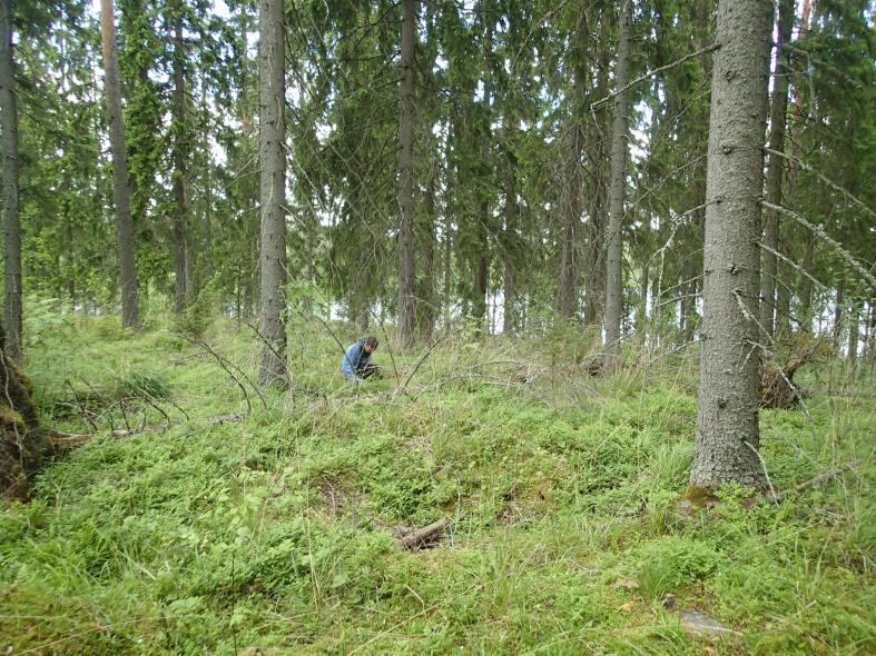 8 Niemen etelärinnettä itään. asuinpaikka kauempana laen kärjessä.