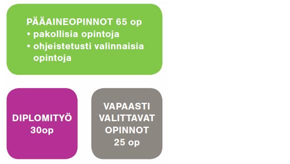 Maisterivaiheen tutkintorakenne M.Sc.